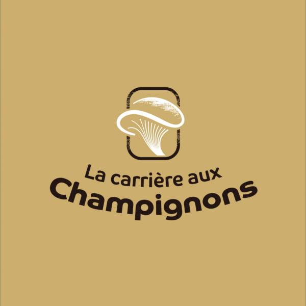 carrière aux champignons