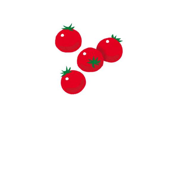 POTAGE TOMATE - Carton x20 sachets de 450 g